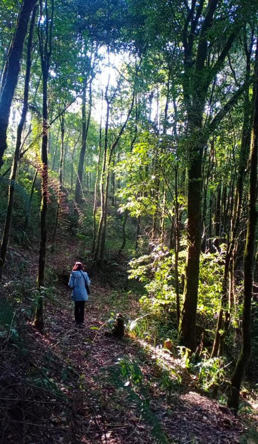 Aakeet Lyang Homestay Kurseong Buitenkant foto