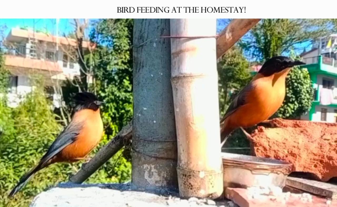 Aakeet Lyang Homestay Kurseong Buitenkant foto