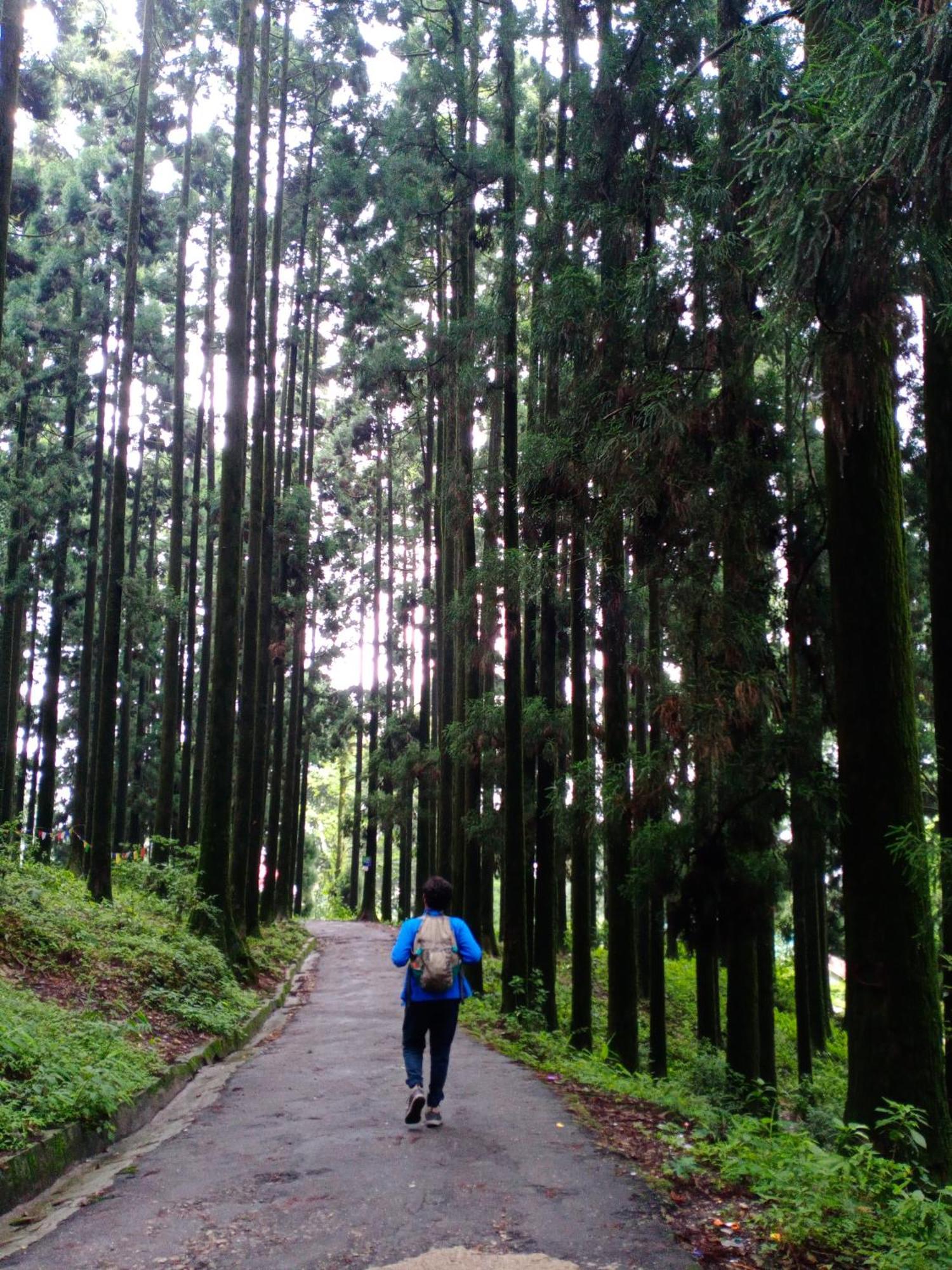 Aakeet Lyang Homestay Kurseong Buitenkant foto